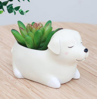 Cartoon Animal Succulent Planters