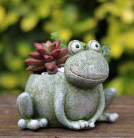 Cartoon Animal Succulent Planters