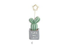 Porta mensajes de cactus