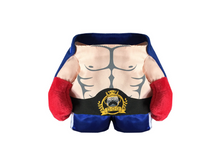Boxer Pet Costume