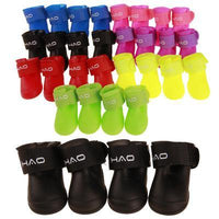 Bottes de pluie pour chiens