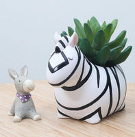 Cartoon Animal Succulent Planters