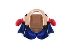 Boxer Pet Costume