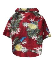 Hawaiian Shirt for Dogs