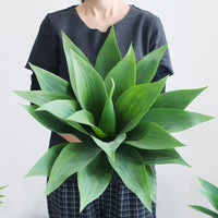Artificial Tropical Agave Plant