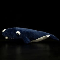 Cute black right whale doll