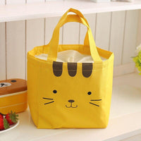 Stainless Steel Insulated Lunch Box & Bag