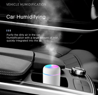 Portable Cool Mist Diffuser