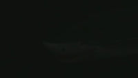 Bateau requin télécommandé 2 en 1