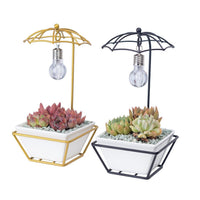 Umbrella Frame Flower Pot with Light