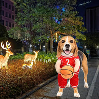 Basketball Player Costume Dog Costume
