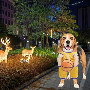 Basketball Player Costume Dog Costume