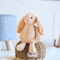 Floppy-Eared Rabbit Plush Toy
