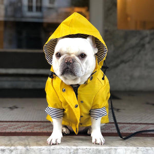 Windproof And Rainproof British Retro Dog Raincoat