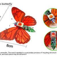 Technology Invention Small Production First Prize Sixth Grade Junior High School Difficult DIY Robot Insect