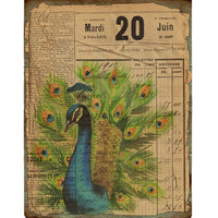 Background Paper Peacock Plant Vintage Hand Account Material Stickers
