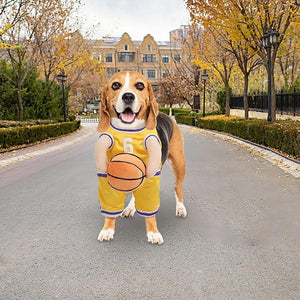 Basketball Player Costume Dog Costume