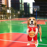 Basketball Player Costume Dog Costume
