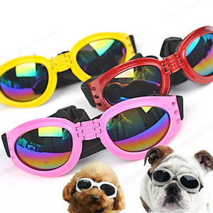 Lunettes de soleil pliables pour chiens, de taille moyenne, imperméables, Protection UV, pour animaux de compagnie
