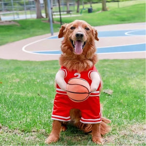 Basketball Player Costume Dog Costume