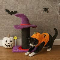 Wizard Witch Hat Cat Scratching Post With Spring Ball Toy For Indoor Cats
