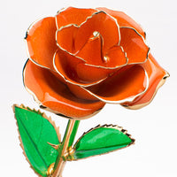 24K Gold-plated Rose Flower With A Gift Box
