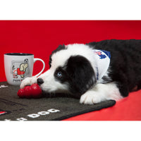 Puppie Love Soccer - 17 oz Cup
