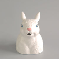 Ceramic Cute Rabbit Watering Pitcher
