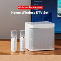 Home Karaoke 203 Bluetooth Speaker Wireless Microphone Audio

