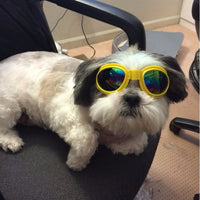Gafas de sol para perros, gafas impermeables plegables de tamaño mediano, gafas de protección UV para mascotas