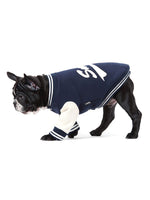 Sniff Baseball Dog Jacket
