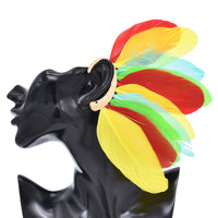 Feather Ear Hanging