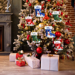 Christmas Stocking Ziplock Bags (30 Pcs - Assorted Sizes)