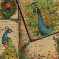 Background Paper Peacock Plant Vintage Hand Account Material Stickers
