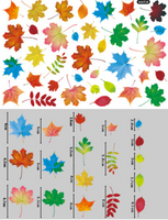 Pumpkin Maple Leaf Creative Static Stickers Thanksgiving Glass Window Decoration
