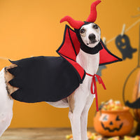 Halloween Pet Vampire Cloak Hat Costume
