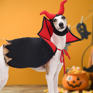 Halloween Pet Vampire Cloak Hat Costume