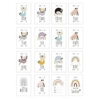 16Pc Milestone Cards Month Sticker Baby Photography Mil
