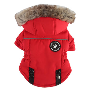 Cotton Chest-Back Zip Winter Dog Jacket