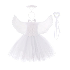 Tooth Fairy Princess Angel Costume Dress