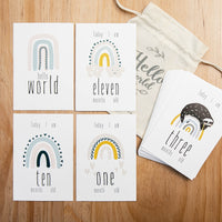 16Pc Milestone Cards Month Sticker Baby Photography Mil

