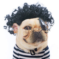 Pet Wig Afro Head Bangs Pigtail
