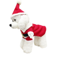 Christmas Elf Dog Costume
