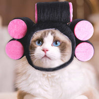 Pelo rizado sombrero para mascotas gato divertido vestir productos para mascotas