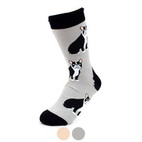 French Bulldog Novelty Socks
