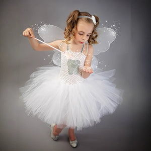 Tooth Fairy Princess Angel Costume Dress