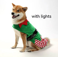 Christmas Green Elf Pet Clothes
