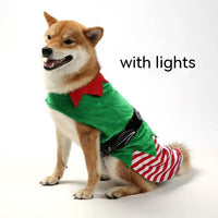 Christmas Green Elf Pet Clothes