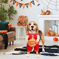 Basketball Player Costume Dog Costume