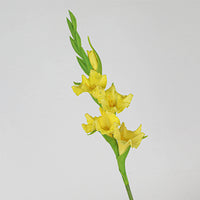 Simulation PU Gladiolus Wedding Hall Home Living Room Soft Decoration Photography Props
